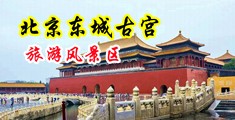 99riav操美女中国北京-东城古宫旅游风景区